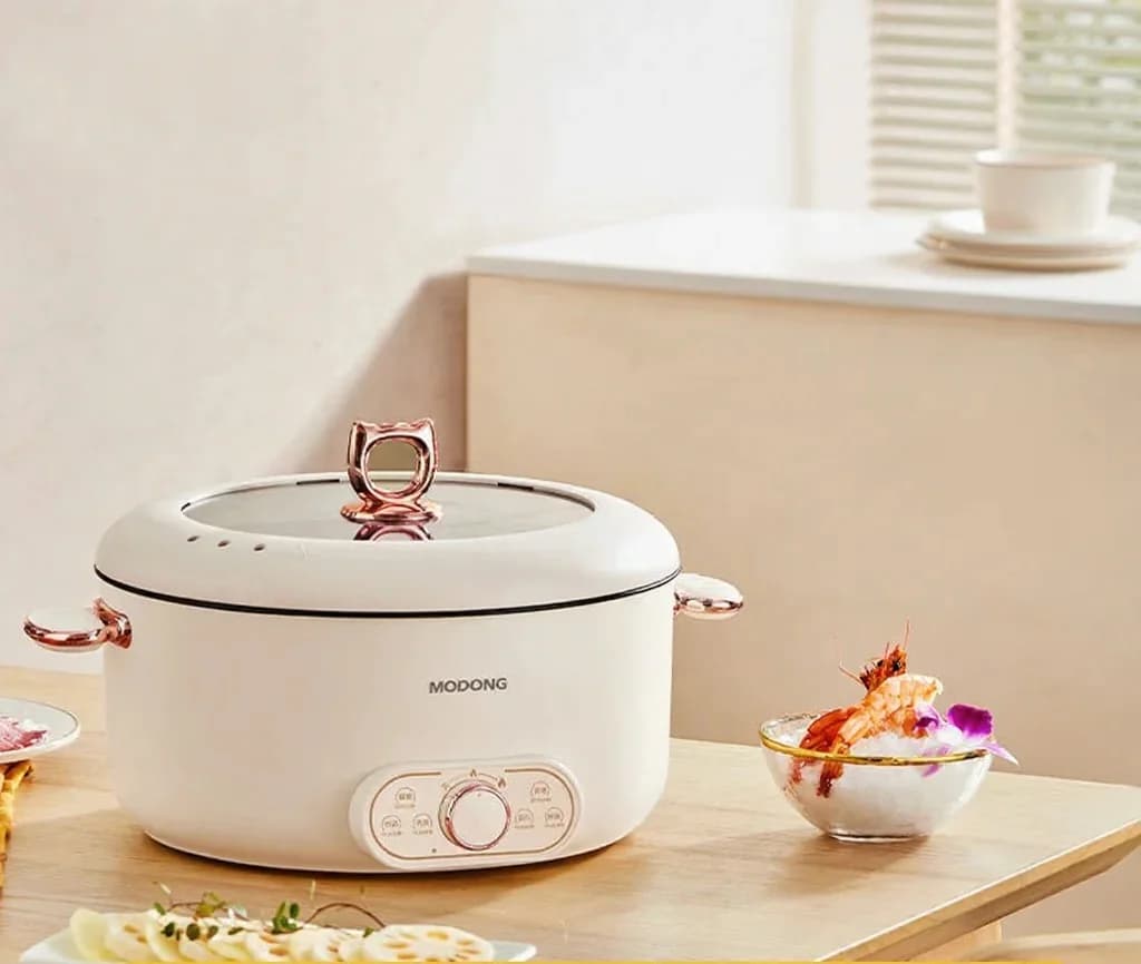 6L elektrische hotpot met stoommand, antiaanbaklaag