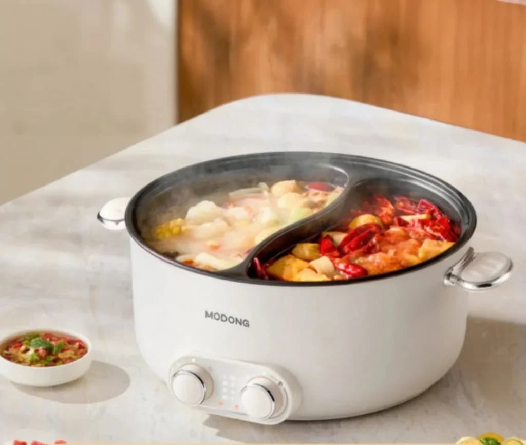 6L dubbele-zone elektrische hotpot met onafhankelijke temperatuurregeling