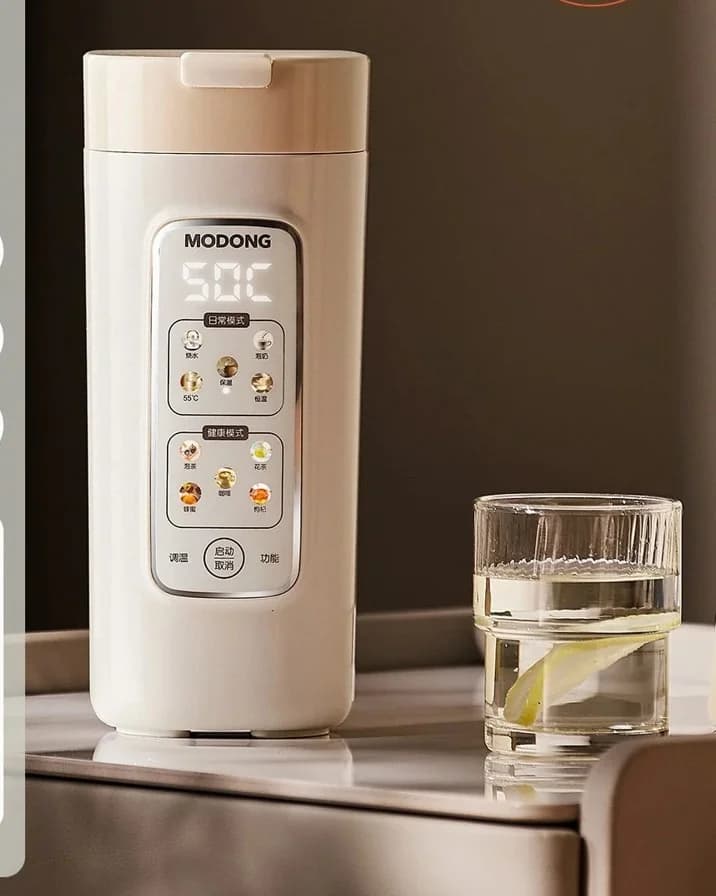 Draagbare elektrische waterkoker-beker met filter, 220V