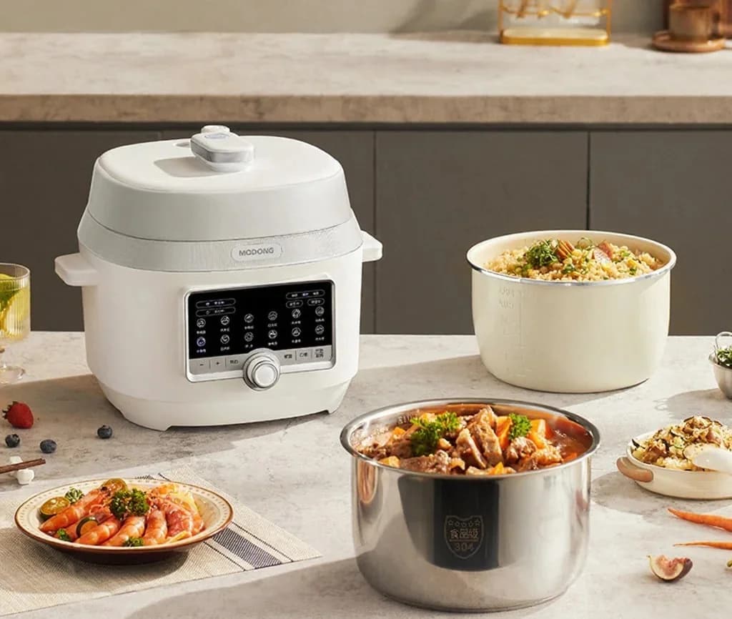 5L elektrische snelkookpan met dubbele binnenpot, 900W