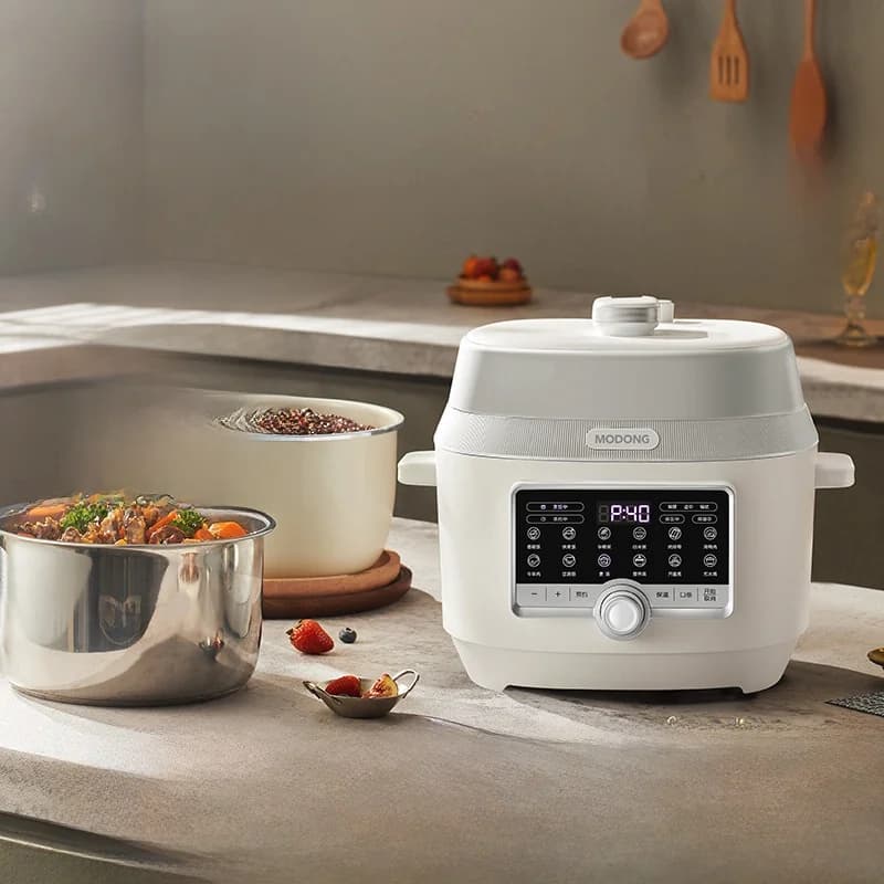 5L elektrische snelkookpan met dubbele binnenpot, 900W