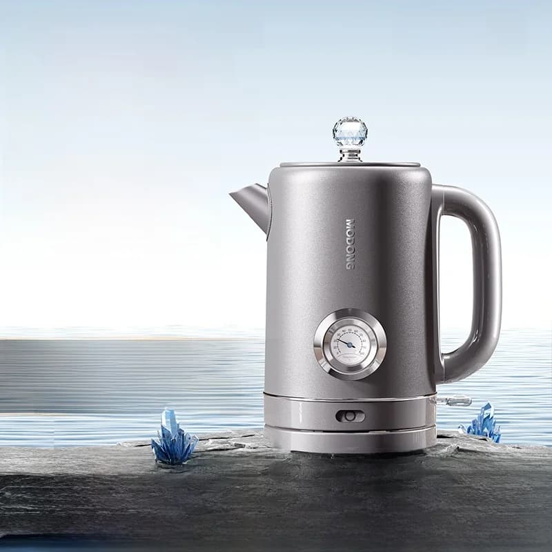 Pure titanium waterkoker 1.8L met temperatuurdisplay