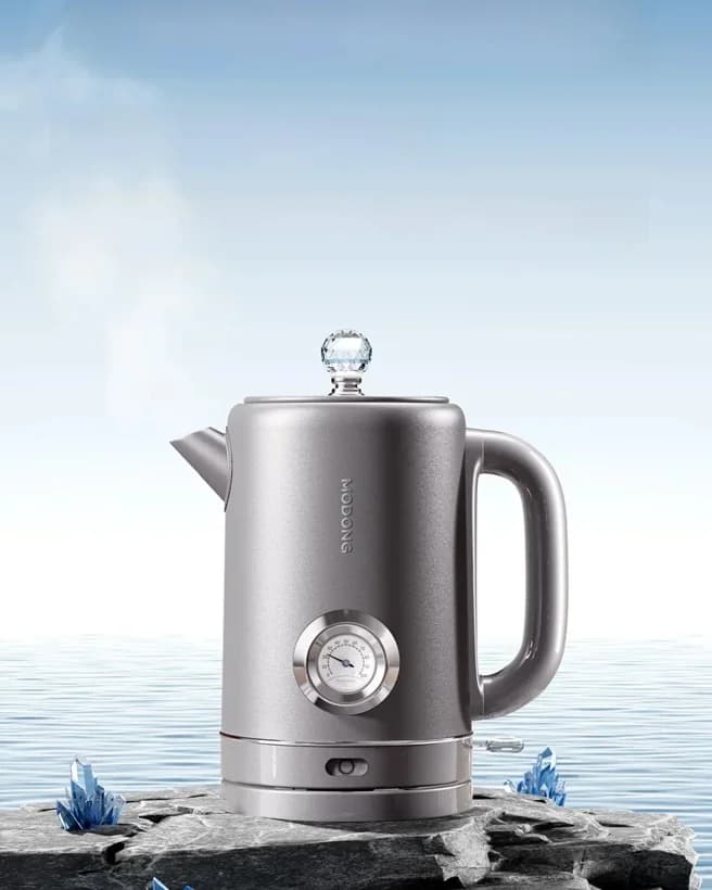 Pure titanium waterkoker met temperatuurdisplay 1.8L