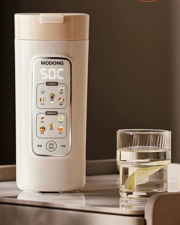 Draagbare elektrische waterkoker-beker met filter, 220V