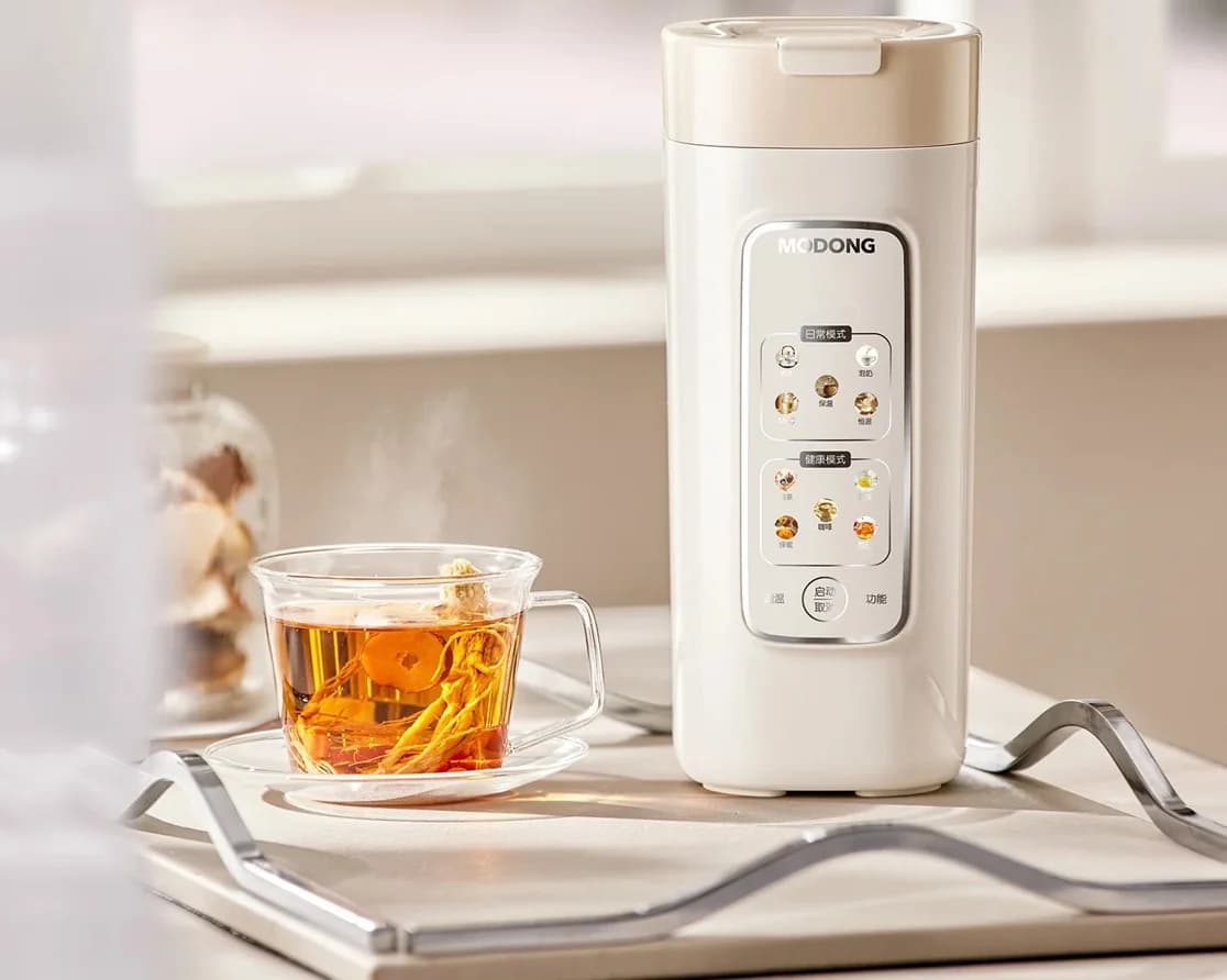 Draagbare elektrische waterverwarmingsbeker met filter, 220V