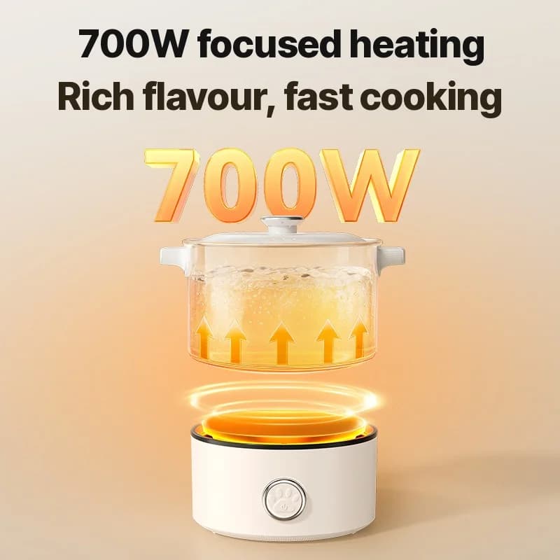 Draagbare opvouwbare elektrische kookpot 110V-220V 550W/700W