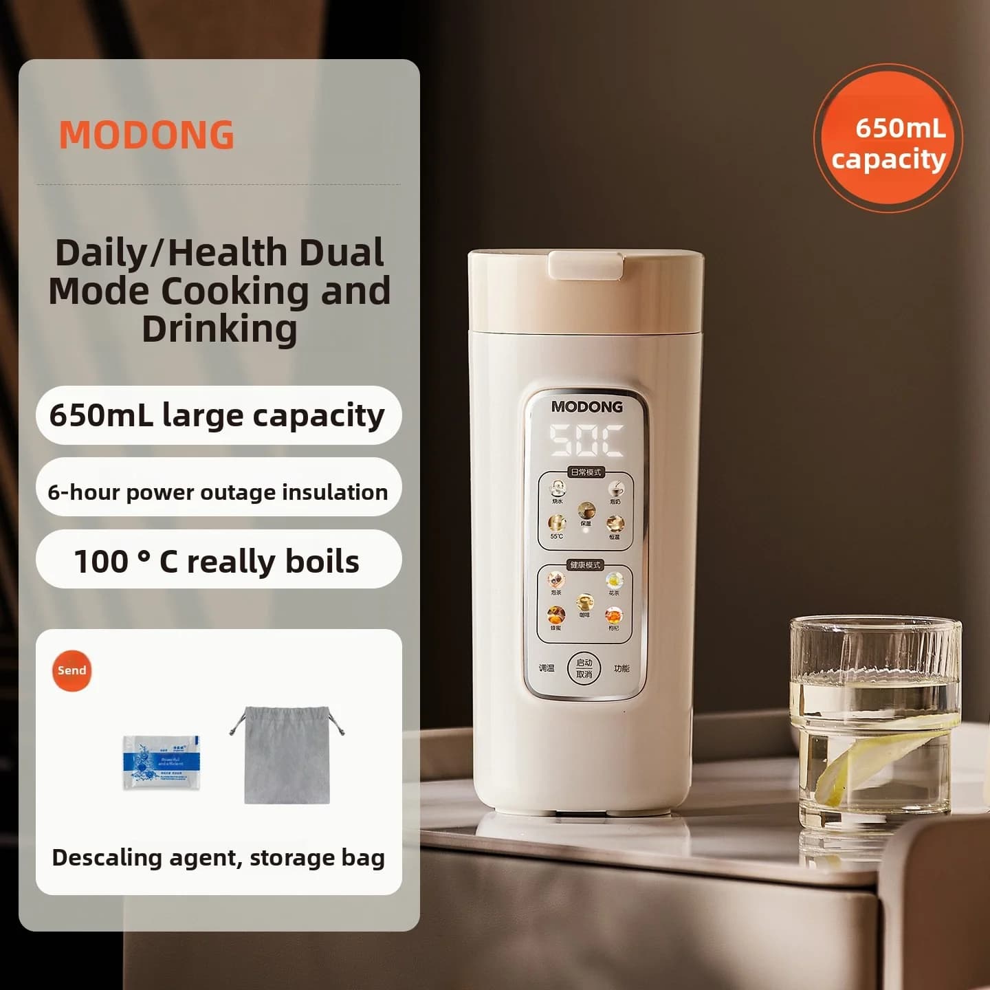 Draagbare elektrische waterkoker-beker met filter, 220V